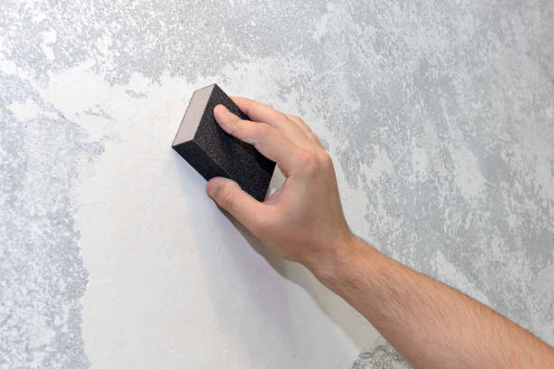 Best Comprehensive Air Testing for Mold Contaminants  in Edgewood, MD