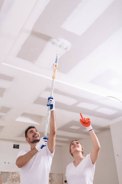 Best Emergency Mold Remediation  in Edgewood, MD