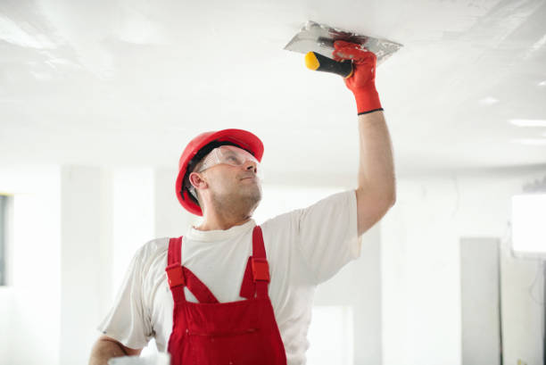 Best Dehumidification Services  in Edgewood, MD