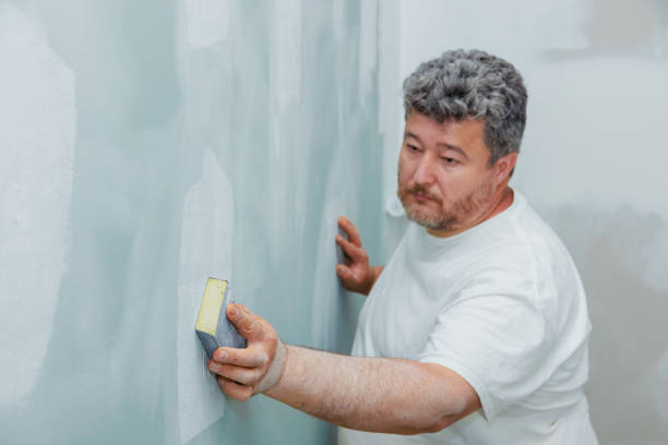 Best Mold Damage Restoration  in Edgewood, MD