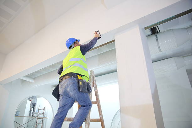 Best Environmental Consulting for Mold Prevention  in Edgewood, MD