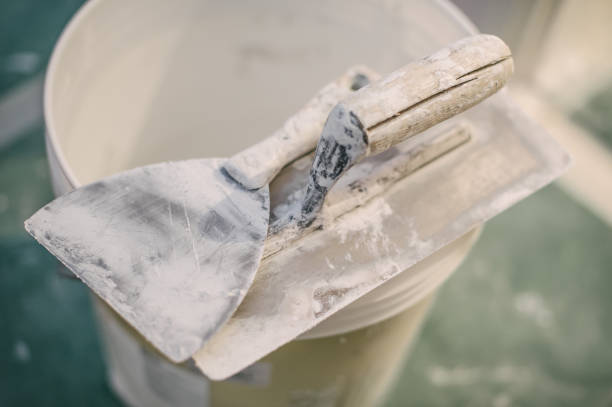 Best Water Damage & Mold Remediation  in Edgewood, MD
